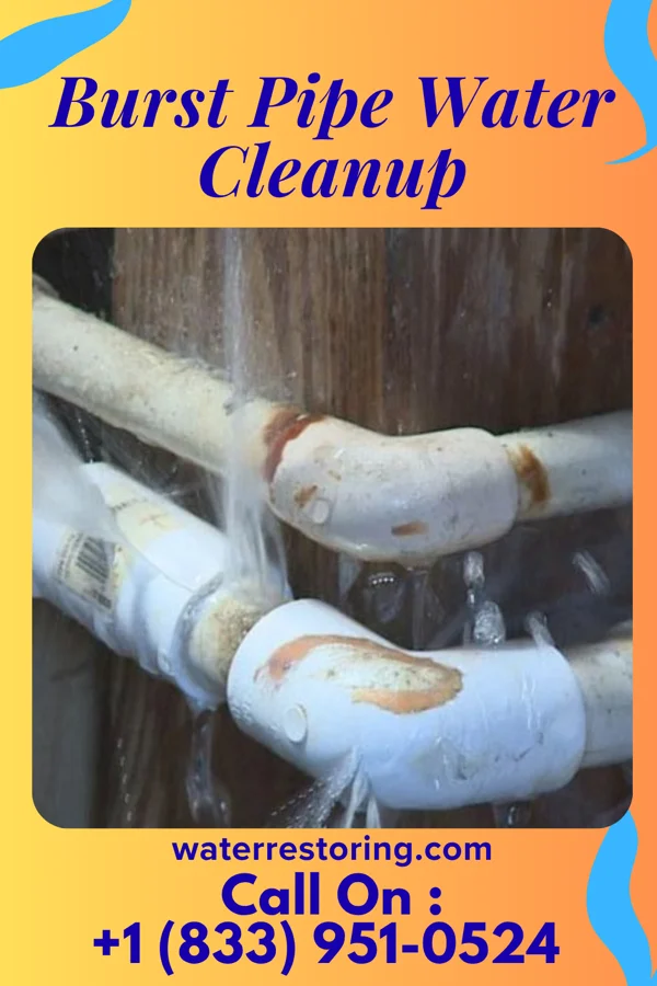 Burst Pipe Water Cleanup in Pilger, NE