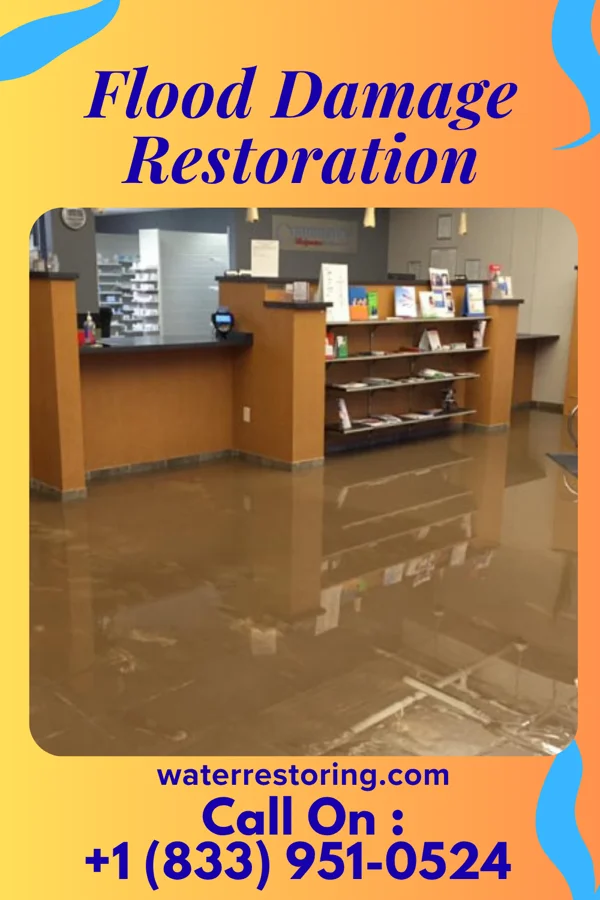 Flood Damage Restoration in Pilger, NE