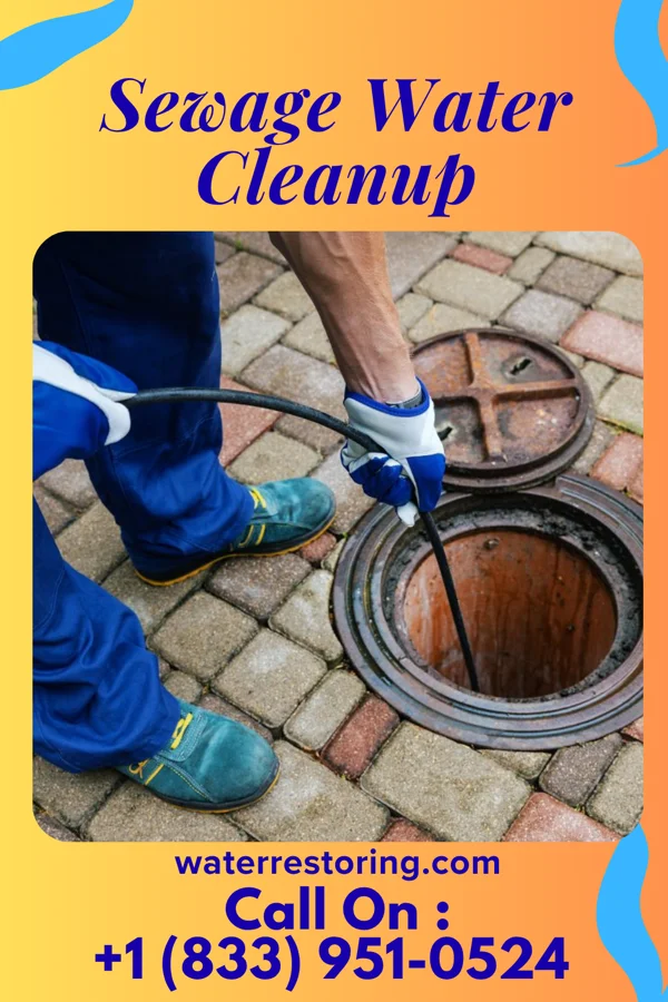 Sewage Water Cleanup in Pilger, NE